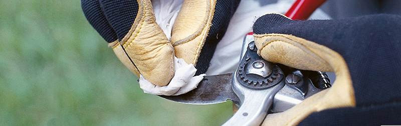 Čištění zahradních nůžek