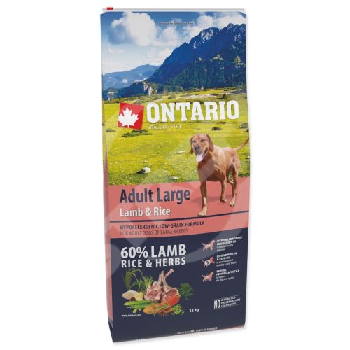 Dog Adult Large Lamb & Rice 12 kg