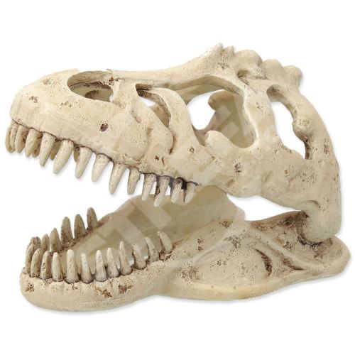 Dekorácia T-REX lebka 13,3 cm