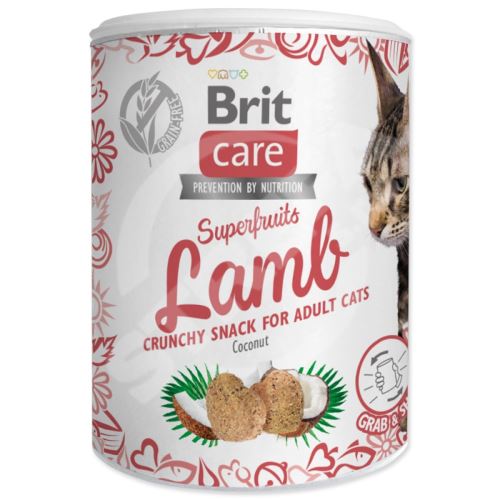 Brit Care Cat Snack Superfruits lamb 100g